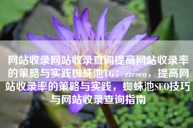 网站收录网站收录查询提高网站收录率的策略与实践蜘蛛池TG：zzcseo，提高网站收录率的策略与实践，蜘蛛池SEO技巧与网站收录查询指南
