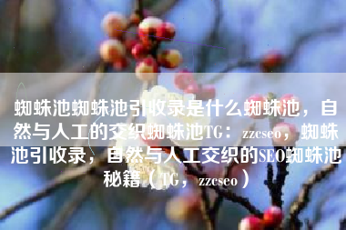 蜘蛛池蜘蛛池引收录是什么蜘蛛池，自然与人工的交织蜘蛛池TG：zzcseo，蜘蛛池引收录，自然与人工交织的SEO蜘蛛池秘籍（TG，zzcseo）