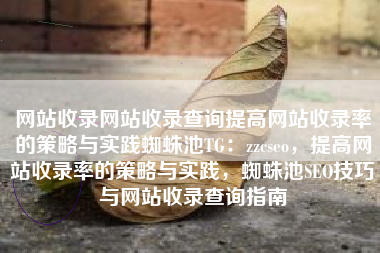 网站收录网站收录查询提高网站收录率的策略与实践蜘蛛池TG：zzcseo，提高网站收录率的策略与实践，蜘蛛池SEO技巧与网站收录查询指南