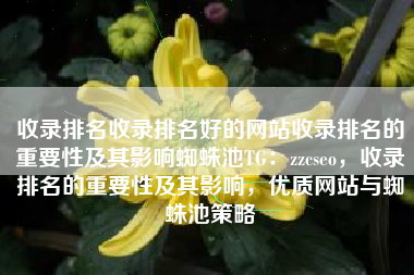收录排名收录排名好的网站收录排名的重要性及其影响蜘蛛池TG：zzcseo，收录排名的重要性及其影响，优质网站与蜘蛛池策略