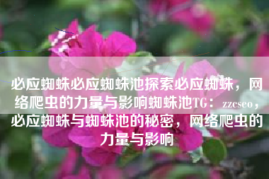 必应蜘蛛必应蜘蛛池探索必应蜘蛛，网络爬虫的力量与影响蜘蛛池TG：zzcseo，必应蜘蛛与蜘蛛池的秘密，网络爬虫的力量与影响