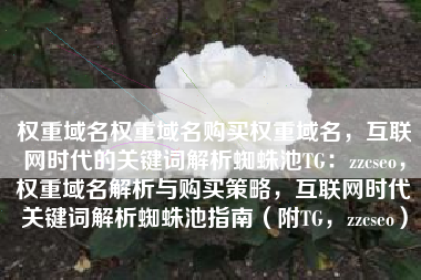 权重域名权重域名购买权重域名，互联网时代的关键词解析蜘蛛池TG：zzcseo，权重域名解析与购买策略，互联网时代关键词解析蜘蛛池指南（附TG，zzcseo）