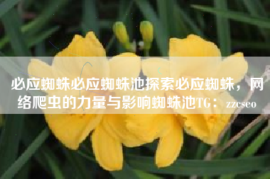 必应蜘蛛必应蜘蛛池探索必应蜘蛛，网络爬虫的力量与影响蜘蛛池TG：zzcseo