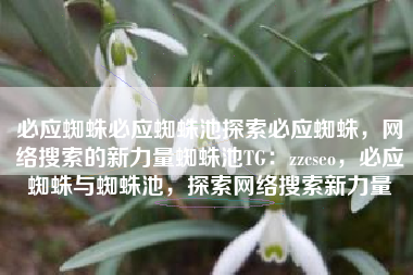 必应蜘蛛必应蜘蛛池探索必应蜘蛛，网络搜索的新力量蜘蛛池TG：zzcseo，必应蜘蛛与蜘蛛池，探索网络搜索新力量