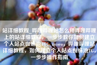 站详细教程_哔哩哔哩站怎么用哔哩哔哩上的站详细教程，一步步教你如何建立个人站点蜘蛛池TG：zzcseo，哔哩哔哩站详细教程，如何建立个人站点蜘蛛池TG，一步步操作指南