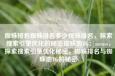 蜘蛛排名蜘蛛排名多少蜘蛛排名，探索搜索引擎优化的秘密蜘蛛池TG：zzcseo，探索搜索引擎优化秘密，蜘蛛排名与蜘蛛池TG的秘密