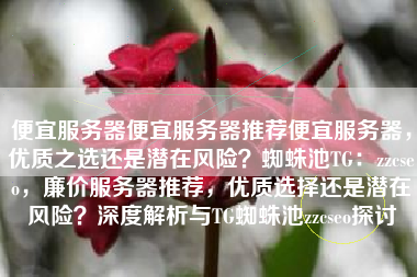便宜服务器便宜服务器推荐便宜服务器，优质之选还是潜在风险？蜘蛛池TG：zzcseo，廉价服务器推荐，优质选择还是潜在风险？深度解析与TG蜘蛛池zzcseo探讨