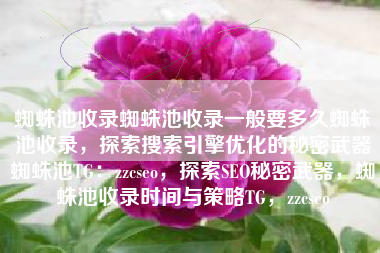 蜘蛛池收录蜘蛛池收录一般要多久蜘蛛池收录，探索搜索引擎优化的秘密武器蜘蛛池TG：zzcseo，探索SEO秘密武器，蜘蛛池收录时间与策略TG，zzcseo