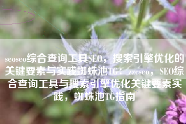 seoseo综合查询工具SEO，搜索引擎优化的关键要素与实践蜘蛛池TG：zzcseo，SEO综合查询工具与搜索引擎优化关键要素实践，蜘蛛池TG指南