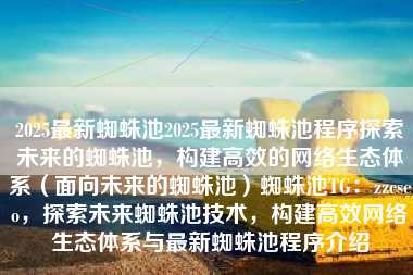 2025最新蜘蛛池2025最新蜘蛛池程序探索未来的蜘蛛池，构建高效的网络生态体系（面向未来的蜘蛛池）蜘蛛池TG：zzcseo，探索未来蜘蛛池技术，构建高效网络生态体系与最新蜘蛛池程序介绍