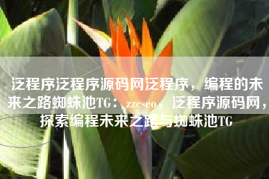 泛程序泛程序源码网泛程序，编程的未来之路蜘蛛池TG：zzcseo，泛程序源码网，探索编程未来之路与蜘蛛池TG
