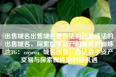 出售域名出售域名是合法的还是违法的出售域名，探索数字资产的新机遇蜘蛛池TG：zzcseo，域名出售，合法数字资产交易与探索蜘蛛池的新机遇