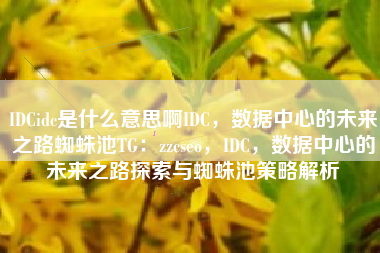 IDCidc是什么意思啊IDC，数据中心的未来之路蜘蛛池TG：zzcseo，IDC，数据中心的未来之路探索与蜘蛛池策略解析