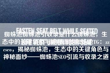 蜘蛛池蜘蛛池引收录是什么蜘蛛池，生态中的关键角色与神秘面纱蜘蛛池TG：zzcseo，揭秘蜘蛛池，生态中的关键角色与神秘面纱——蜘蛛池SEO引流与收录之道
