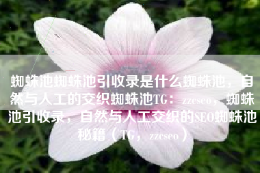蜘蛛池蜘蛛池引收录是什么蜘蛛池，自然与人工的交织蜘蛛池TG：zzcseo，蜘蛛池引收录，自然与人工交织的SEO蜘蛛池秘籍（TG，zzcseo）