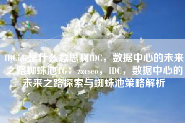 IDCidc是什么意思啊IDC，数据中心的未来之路蜘蛛池TG：zzcseo，IDC，数据中心的未来之路探索与蜘蛛池策略解析