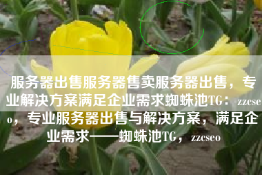 服务器出售服务器售卖服务器出售，专业解决方案满足企业需求蜘蛛池TG：zzcseo，专业服务器出售与解决方案，满足企业需求——蜘蛛池TG，zzcseo