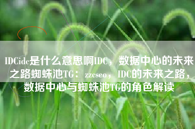 IDCidc是什么意思啊IDC，数据中心的未来之路蜘蛛池TG：zzcseo，IDC的未来之路，数据中心与蜘蛛池TG的角色解读