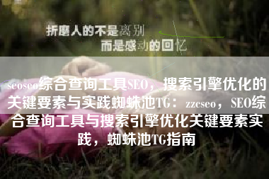 seoseo综合查询工具SEO，搜索引擎优化的关键要素与实践蜘蛛池TG：zzcseo，SEO综合查询工具与搜索引擎优化关键要素实践，蜘蛛池TG指南