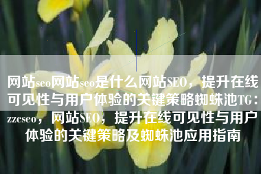网站seo网站seo是什么网站SEO，提升在线可见性与用户体验的关键策略蜘蛛池TG：zzcseo，网站SEO，提升在线可见性与用户体验的关键策略及蜘蛛池应用指南