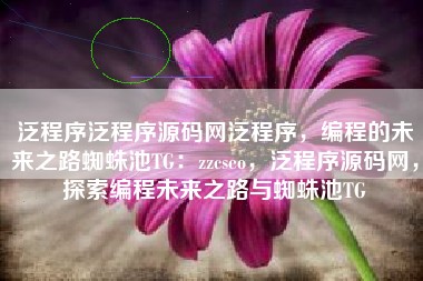 泛程序泛程序源码网泛程序，编程的未来之路蜘蛛池TG：zzcseo，泛程序源码网，探索编程未来之路与蜘蛛池TG