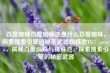 百度蜘蛛百度蜘蛛池是什么百度蜘蛛，探索搜索引擎的秘密武器蜘蛛池TG：zzcseo，揭秘百度蜘蛛与蜘蛛池，探索搜索引擎的秘密武器