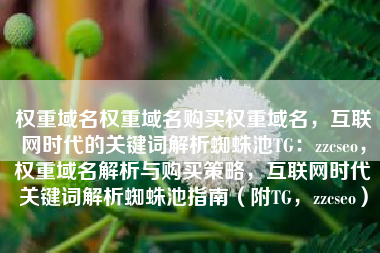 权重域名权重域名购买权重域名，互联网时代的关键词解析蜘蛛池TG：zzcseo，权重域名解析与购买策略，互联网时代关键词解析蜘蛛池指南（附TG，zzcseo）