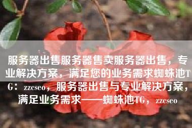 服务器出售服务器售卖服务器出售，专业解决方案，满足您的业务需求蜘蛛池TG：zzcseo，服务器出售与专业解决方案，满足业务需求——蜘蛛池TG，zzcseo