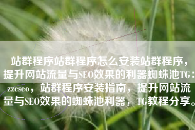 站群程序站群程序怎么安装站群程序，提升网站流量与SEO效果的利器蜘蛛池TG：zzcseo，站群程序安装指南，提升网站流量与SEO效果的蜘蛛池利器，TG教程分享。