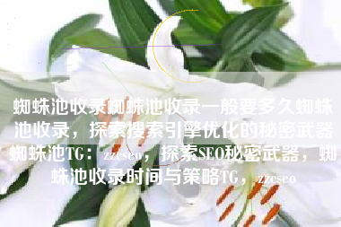 蜘蛛池收录蜘蛛池收录一般要多久蜘蛛池收录，探索搜索引擎优化的秘密武器蜘蛛池TG：zzcseo，探索SEO秘密武器，蜘蛛池收录时间与策略TG，zzcseo