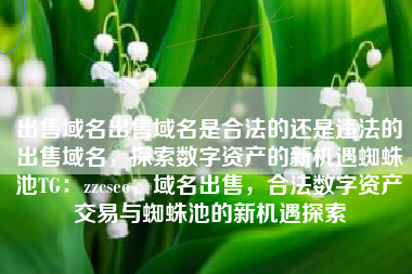 出售域名出售域名是合法的还是违法的出售域名，探索数字资产的新机遇蜘蛛池TG：zzcseo，域名出售，合法数字资产交易与蜘蛛池的新机遇探索