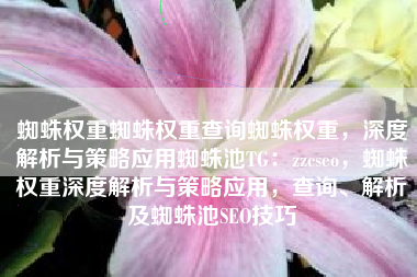 蜘蛛权重蜘蛛权重查询蜘蛛权重，深度解析与策略应用蜘蛛池TG：zzcseo，蜘蛛权重深度解析与策略应用，查询、解析及蜘蛛池SEO技巧