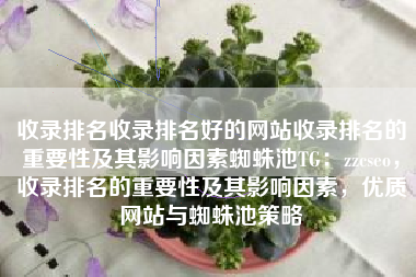 收录排名收录排名好的网站收录排名的重要性及其影响因素蜘蛛池TG：zzcseo，收录排名的重要性及其影响因素，优质网站与蜘蛛池策略