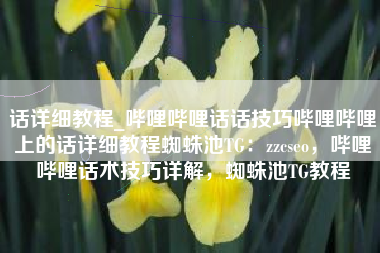 话详细教程_哔哩哔哩话话技巧哔哩哔哩上的话详细教程蜘蛛池TG：zzcseo，哔哩哔哩话术技巧详解，蜘蛛池TG教程