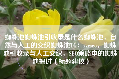 蜘蛛池蜘蛛池引收录是什么蜘蛛池，自然与人工的交织蜘蛛池TG：zzcseo，蜘蛛池引收录与人工交织，SEO策略中的蜘蛛池探讨（标题建议）