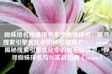 蜘蛛排名蜘蛛排名多少蜘蛛排名,探寻搜索引擎优化中的秘密蜘蛛池TG:zzcseo,揭秘搜索引擎优化中的秘密蜘蛛池,探寻蜘蛛排名与TG实战指南(zzcseo) 蜘蛛排名蜘蛛排名多少蜘蛛排名,探寻搜索引擎优化中的秘密蜘蛛池TG:zzcseo,揭秘搜索引擎优化中的秘密蜘蛛池,探寻蜘蛛排名与TG实战指南(zzcseo)