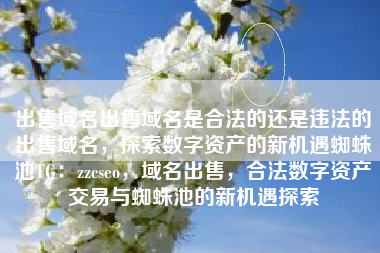 出售域名出售域名是合法的还是违法的出售域名，探索数字资产的新机遇蜘蛛池TG：zzcseo，域名出售，合法数字资产交易与蜘蛛池的新机遇探索