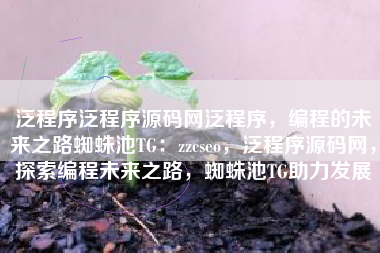 泛程序源码网，探索编程的未来之路
