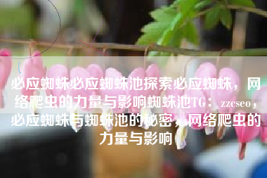 必应蜘蛛必应蜘蛛池探索必应蜘蛛,网络爬虫的力量与影响蜘蛛池TG:zzcseo,必应蜘蛛与蜘蛛池的秘密,网络爬虫的力量与影响 必应蜘蛛必应蜘蛛池探索必应蜘蛛,网络爬虫的力量与影响蜘蛛池TG:zzcseo,必应蜘蛛与蜘蛛池的秘密,网络爬虫的力量与影响