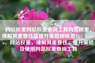 网站权重网站权重查询工具网站权重,理解其重要性及提升策略蜘蛛池TG:zzcseo,网站权重,理解其重要性、提升策略及使用网站权重查询工具 网站权重网站权重查询工具网站权重,理解其重要性及提升策略蜘蛛池TG:zzcseo,网站权重,理解其重要性、提升策略及使用网站权重查询工具