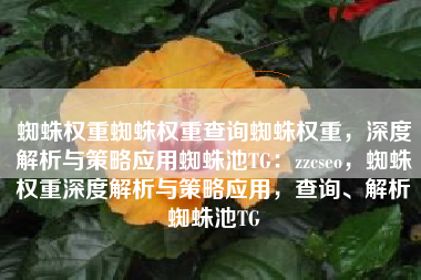 蜘蛛权重蜘蛛权重查询蜘蛛权重，深度解析与策略应用蜘蛛池TG：zzcseo，蜘蛛权重深度解析与策略应用，查询、解析蜘蛛池TG