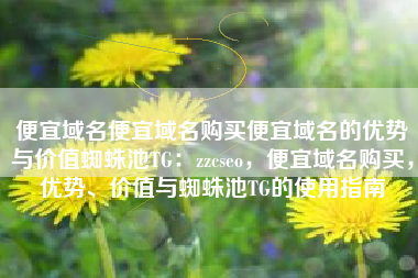 便宜域名便宜域名购买便宜域名的优势与价值蜘蛛池TG:zzcseo,便宜域名购买,优势、价值与蜘蛛池TG的使用指南 便宜域名便宜域名购买便宜域名的优势与价值蜘蛛池TG:zzcseo,便宜域名购买,优势、价值与蜘蛛池TG的使用指南