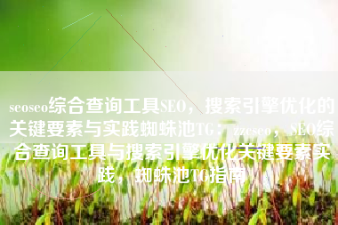 seoseo综合查询工具SEO，搜索引擎优化的关键要素与实践蜘蛛池TG：zzcseo，SEO综合查询工具与搜索引擎优化关键要素实践，蜘蛛池TG指南