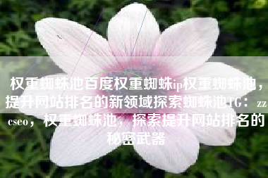 权重蜘蛛池百度权重蜘蛛ip权重蜘蛛池，提升网站排名的新领域探索蜘蛛池TG：zzcseo，权重蜘蛛池，探索提升网站排名的秘密武器