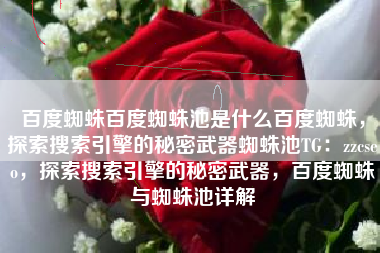 百度蜘蛛百度蜘蛛池是什么百度蜘蛛，探索搜索引擎的秘密武器蜘蛛池TG：zzcseo，探索搜索引擎的秘密武器，百度蜘蛛与蜘蛛池详解