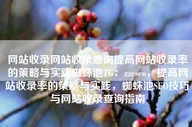 网站收录网站收录查询提高网站收录率的策略与实践蜘蛛池TG：zzcseo，提高网站收录率的策略与实践，蜘蛛池SEO技巧与网站收录查询指南