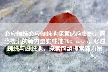 必应蜘蛛必应蜘蛛池探索必应蜘蛛，网络搜索的新力量蜘蛛池TG：zzcseo，必应蜘蛛与蜘蛛池，探索网络搜索新力量