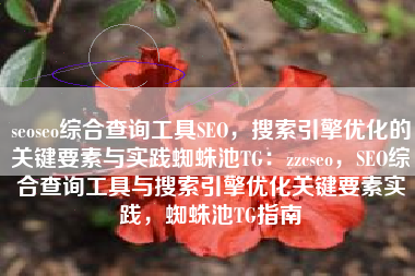 seoseo综合查询工具SEO，搜索引擎优化的关键要素与实践蜘蛛池TG：zzcseo，SEO综合查询工具与搜索引擎优化关键要素实践，蜘蛛池TG指南
