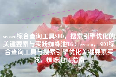seoseo综合查询工具SEO，搜索引擎优化的关键要素与实践蜘蛛池TG：zzcseo，SEO综合查询工具与搜索引擎优化关键要素实践，蜘蛛池TG指南