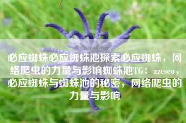 必应蜘蛛必应蜘蛛池探索必应蜘蛛，网络爬虫的力量与影响蜘蛛池TG：zzcseo，必应蜘蛛与蜘蛛池的秘密，网络爬虫的力量与影响